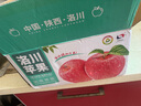 洛川蘋果陜西延安特產(chǎn)紅富士時(shí)令蘋果水果禮盒送蘋果生鮮新鮮脆甜整箱批發(fā) 凈重8.5斤80-85mm 鉑金大果脆甜 曬單實(shí)拍圖