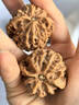 妍韻珠寶精品41-42mm蘋果園獅子頭文玩核桃手持盤玩把玩件麻核桃男女士款 曬單實拍圖