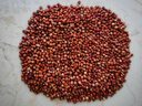 10大斤帶皮紅高粱米去殼未脫皮紅高梁釀酒高粱喂鴿子飼料糧食鳥(niǎo)糧 10斤高粱【劃算】 曬單實(shí)拍圖