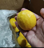 京鮮生 安岳黃檸檬16粒 單果95g-120g 生鮮水果 曬單實(shí)拍圖
