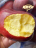 天水花牛粉面蘋(píng)果嬰兒刮泥輔食蘋(píng)果老人食寶寶粉糯香甜蛇蘋(píng)果 精選果2斤 曬單實(shí)拍圖