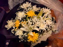花與千尋鮮花速遞清明節(jié)菊花喪禮鮮花祭奠祭祀追悼全國(guó)同城配送花店送花 【悼念】11朵黃白菊花束+3朵百合 曬單實(shí)拍圖