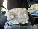 范爺家車(chē)載紙巾盒抽紙盒可愛(ài)玩偶ins風(fēng)小羊車(chē)內(nèi)懸掛餐巾抽紙袋汽車(chē)用品 曬單實(shí)拍圖