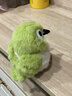捉趣翠鳥(niǎo)毛絨玩具可愛(ài)小鳥(niǎo)玩偶公仔睡覺(jué)桌伴抱枕陪睡娃娃女孩七夕禮物 暗綠繡眼鳥(niǎo) 全長(cháng)約11cm 曬單實(shí)拍圖