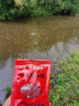 野釣鯽鯉魚(yú)紅蟲(chóng)空心顆粒餌料紅蟲(chóng)蚯蚓掛鉤魚(yú)窩料霧化餌 紅蟲(chóng)空心餌【10袋】 曬單實(shí)拍圖