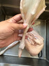 王氏正德 農(nóng)家散養(yǎng)大白鵝整只 新鮮冷凍鵝肉嫩鵝土鵝 大鵝生鮮 大鵝凈重7-8斤 曬單實(shí)拍圖