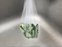 【發(fā)400只】廚房水槽過濾網(wǎng)下水道水池洗菜盆洗碗池地漏網(wǎng)兜提籠垃圾漏網(wǎng)篩排水口防堵塞小工具廚房用品 300只 曬單實拍圖