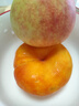 云南高原娃娃菜新鮮蔬菜生鮮乾隆白菜早餐火鍋必備產(chǎn)地直發(fā) 淺黃色 新鮮娃娃菜3顆裝*2包 曬單實(shí)拍圖