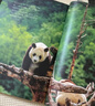 兒童紙上紀(jì)錄片 小自然 現(xiàn)貨速發(fā)高清圖片視覺盛宴 20個有趣的自然主題 少兒科普繪本百科全書課外讀物繪本漫畫 波點童趣 陪讀科普好故事 兒童紙上紀(jì)錄片 小自然 曬單實拍圖