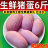 鮮器新鮮豬蛋蛋豬寶豬睪丸生鮮 生態(tài)養殖大別山黑豬農家散養 2-3個(gè)/斤 凈重6斤豬寶 曬單實(shí)拍圖