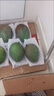 京覓 攀枝花凱特芒果 8斤單果700g+  生鮮新鮮水果 源頭直發(fā) 曬單實拍圖