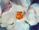 卓宸 澳洲Coles谷飼牛窩骨凈重4斤 牛膝蓋骨燉煮【真原切】 源頭直發(fā) 曬單實(shí)拍圖