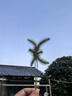 GNC健安喜兒童液體鈣鎂鋅營(yíng)養包補鋅維生素D3寶寶自護力30袋/盒 【3盒裝】?jì)和后w鈣鎂鋅30條 曬單實(shí)拍圖