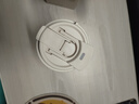 全316不銹鋼保溫杯無縫內(nèi)膽水杯萌物咖啡杯雙飲杯子 綠色格紋貓咪 500ml 曬單實(shí)拍圖