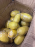 滿柚春無籽青檸檬塔西提薄皮多汁香水檸檬小青檸奶茶店專用 無籽黃檸檬5斤裝大果單果100克起 曬單實拍圖