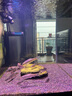 捷寶（Jebao）智能魚(yú)缸環(huán)流造浪泵橫流泵水族箱海缸造浪機(jī)底吹變頻很安靜吹糞器 12W【2代雙控】 適合0.6米以下魚(yú)缸 曬單實(shí)拍圖