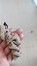 RRLFCS秋冬奶咖色布藝復古花紋大腸發(fā)圈頭飾女馬尾頭花發(fā)繩皮套頭繩發(fā)飾 布藝大腸發(fā)圈【1個(gè)裝】 曬單實(shí)拍圖