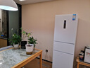 美的（Midea）283白色三門三開門大容量家用小型電冰箱一級能效風(fēng)冷無霜租房小冰箱多門以舊換新【國家補(bǔ)貼】 曬單實(shí)拍圖