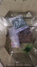 寵尚天 烏龜缸別墅生態(tài)飼養箱小烏龜活物活體龜盆巴西龜寵物龜中華草龜 中號33*23*12飛船缸綠+大禮包+龜 曬單實(shí)拍圖