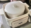 美的（Midea）電燉鍋 電燉盅 快燉隔水燉煮家用煮粥嬰兒寶寶輔食鍋bb煲湯鍋燕窩燉盅4.5L白瓷內(nèi)膽燉湯鍋上蒸下燉 4.5L 【一盅五膽】白瓷內(nèi)膽 DZE2552 曬單實(shí)拍圖