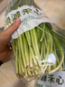 綠源禾心有機(jī)韭菜新鮮現(xiàn)割鮮嫩炒菜燒烤餃子餡農(nóng)場當(dāng)季時(shí)令健康無農(nóng)殘蔬菜 3斤 曬單實(shí)拍圖