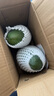 趣嘗鮮 攀枝花凱特芒2粒裝 大果 單果600g+  源頭直發(fā) 一件包郵 曬單實拍圖