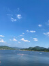京鮮生 湖北秭歸夏橙凈重4.5斤 單果110g+ 源頭直發(fā)包郵 曬單實(shí)拍圖