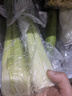 【勤勞致富】西芹約1kg 曬單實拍圖