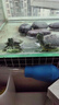 備能 烏龜藥土霉素白眼病藥腐皮爛甲眼藥水龜殼發(fā)白眼清專用護(hù)龜寶 曬單實(shí)拍圖