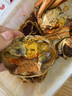 福蟹祿農(nóng)花雕熟醉蟹固城湖大閘蟹熟食非生腌公母六月黃螃蟹即食盒裝紅高記 當季-特大滿黃醉蟹3.6-3.0兩-6只 曬單實拍圖