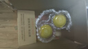 原始黃金駱駝奶粉1罐330g新疆正宗益生菌無蔗糖中老年成人奶粉高鈣駝乳粉 曬單實(shí)拍圖