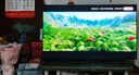 Vidda R55 2025款 海信電視 55英寸 高清超薄電視 2+32G 全面屏智慧屏智能液晶電視 國家補(bǔ)貼55V1KD-R 55英寸 R55 2025款 曬單實(shí)拍圖