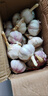 山東金鄉(xiāng)紫白皮大蒜干蒜新蒜祘瓣農(nóng)家自種大蒜頭批發(fā)大果特大果 大蒜【中果≥3.5mm】凈重4.5斤 曬單實拍圖