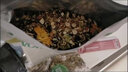 天生牙天生牙倉鼠糧食金絲熊侏儒磨牙面包蟲(chóng)凍干五谷主零食專(zhuān)用0蔗糖 【天然不上火】草本倉鼠糧400g 曬單實(shí)拍圖