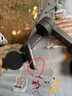 大疆 DJI Osmo Mobile 7P 全場景跟拍手機穩(wěn)定器OM7智能跟拍直播vlog手持自拍桿拍攝神器 曬單實拍圖