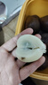 果蜜美印尼蛇皮果新鮮罕見(jiàn)稀有進(jìn)口熱帶時(shí)令孕婦水果現(xiàn)應(yīng)當(dāng)季發(fā)整箱順豐 2斤 5A大果（順豐快遞）商超品質(zhì) 曬單實(shí)拍圖