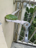 艾美特（AIRMATE）五葉家用電風扇大風量臺式落地扇輕音節(jié)能空氣循環(huán)小風扇定時電扇宿舍降溫風扇 FSW65T2-5 曬單實拍圖