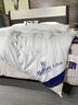水星家紡A類(lèi)出口蠶絲被100桑蠶絲全棉被芯雙人加厚保暖冬被子 A類(lèi)蠶絲被-歡朋典雅白 150x200cm-4斤 曬單實(shí)拍圖