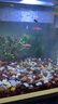 森森（SUNSUN）超白魚(yú)缸一體缸自循環(huán)客廳桌面小型家用水族箱HEJ-380 曬單實(shí)拍圖