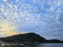 丹尼富石墨烯CR425/316/322夜光漂電池通用電子漂電池魚浮漂正品官方 【20粒】石墨烯CR316 曬單實(shí)拍圖
