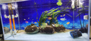 森森（SUNSUN）造浪泵魚(yú)缸水族箱沖浪泵耀藍(lán)造流吹糞便吹魚(yú)便 升級(jí)雙頭14W磁鐵款 高效強(qiáng)勁 流量調(diào)節(jié) 曬單實(shí)拍圖