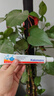 KALOMANS曬后舒緩膏曬后修復(fù)皮膚可搭藥膏曬傷修護(hù)面霜蘆薈膠兒童成人凝膠 曬單實拍圖