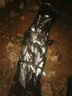 魚(yú)誘魚(yú)誘方便魚(yú)餌料牙膏餌粘膠餌擠壓式鯽魚(yú)鯉魚(yú)草魚(yú)搓餌釣魚(yú)垂釣釣餌 買(mǎi)二贈一【腥香】 曬單實(shí)拍圖