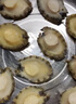 江船長 冷凍鮑魚 凈重160g(18-22粒)袋裝 火鍋燒烤食材 海鮮生鮮 曬單實(shí)拍圖