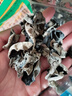 胖東來(lái)品質(zhì)】東北野生黑木耳肉厚天然特級(jí)木耳黑龍江大興安嶺新貨 【野生山木耳1000g】無(wú)干燥劑凈重. 曬單實(shí)拍圖