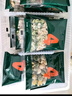 英氏（Engnice）【寶寶面條專區(qū)】嬰幼兒有機面條輔食兒童意面碎碎面蝴蝶面 【12-18月+】4+5階面條組合450g 曬單實拍圖