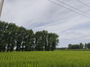飛利浦（PHILIPS）電動(dòng)剃須刀親膚經(jīng)典5系 閃電系列智能刮胡刀 生日禮物 七夕情人節(jié)禮物送老公送男友 曬單實(shí)拍圖