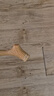 貴為（GiGwi）狗玩具磨牙棒狗狗磨牙玩具幼犬小型犬木塑鹿角小號寵物用品玩具 曬單實(shí)拍圖