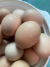 京東包郵谷飼鮮雞蛋40g左右農(nóng)家散養(yǎng)土雞蛋五谷喂養(yǎng)初產(chǎn)買菜早餐 30枚家庭裝 曬單實(shí)拍圖