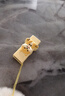 惠普256GB 雙接口萌寵U盤 可愛柴犬至高230MB/S高速傳輸情侶Type-C手機u盤 辦公學生車載電腦手機優(yōu)盤 曬單實拍圖